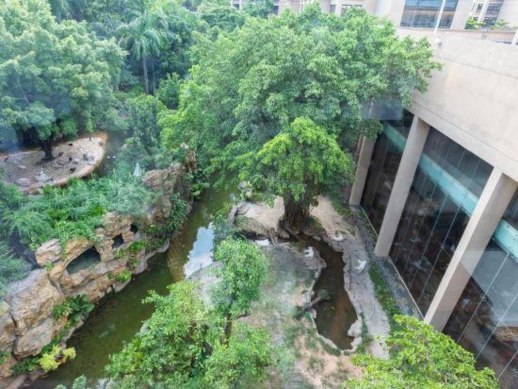Chimelong Hotel Quảng Châu Ngoại thất bức ảnh